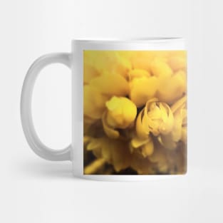 Gorse Bush Flowers (Ulex europaeus) Mug